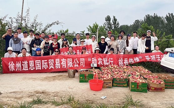 爱心助农，“桃”醉盛夏——羊拍档组织员工开展助农摘桃公益活动